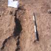 Archaeological excavation, [092]: general with board etc., Auldhame, East Lothian