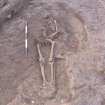 Archaeological excavation, Skeleton 120, Auldhame, East Lothian