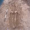 Archaeological excavation, Skeleton 085, Auldhame, East Lothian