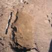 Archaeological excavation, [084]: grave cut for Skeleton 085, Auldhame, East Lothian