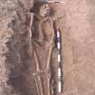 Archaeological excavation, Skeleton 109: general with board etc., Auldhame, East Lothian