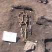 Archaeological excavation, Skeleton 144 and cut [143] with board etc., Auldhame, East Lothian