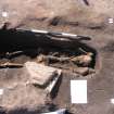 Archaeological excavation, Skeleton 151: top half with board etc., Auldhame, East Lothian