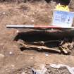 Archaeological excavation, Skeleton 158: bottom half with board etc., Auldhame, East Lothian