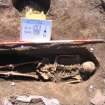 Archaeological excavation, Skeleton 158: top half with board etc., Auldhame, East Lothian