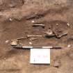 Archaeological excavation, Skeleton 148: general with board etc., Auldhame, East Lothian