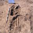 Archaeological excavation, Skeleton 155: general with board etc., Auldhame, East Lothian
