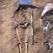 Archaeological excavation, Skeleton 164: general shot with board etc., Auldhame, East Lothian