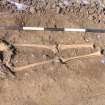 Archaeological excavation, Skeleton 164: bottom half, Auldhame, East Lothian