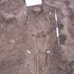 Archaeological excavation, Skeleton 122: general with board etc., Auldhame, East Lothian