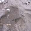 Archaeological excavation, Cut [127], Auldhame, East Lothian