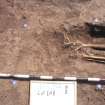 Archaeological excavation, Skeleton 182: general shot - feet, Auldhame, East Lothian