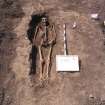 Archaeological excavation, Skeleton 182: general - whole body, Auldhame, East Lothian
