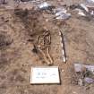 Archaeological excavation, Skeleton 185: general whole skeleton, Auldhame, East Lothian