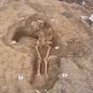 Archaeological excavation, Skeleton 192: general, Auldhame, East Lothian