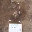 Archaeological excavation, Skeleton 195: badly plough-damaged skeleton, Auldhame, East Lothian