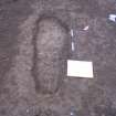 Archaeological excavation, Post-excavation cut of grave [181], Auldhame, East Lothian