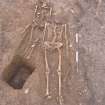 Archaeological excavation, Skeleton 198, Auldhame, East Lothian