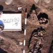 Archaeological excavation, Skeleton 228: infant, Auldhame, East Lothian