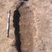 Archaeological excavation, [362] : general of grave cut, Auldhame, East Lothian