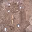 Archaeological excavation, Skeleton 352: general, no board and scale, Auldhame, East Lothian