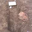 Archaeological excavation, [332]: general of grave cut, Auldhame, East Lothian