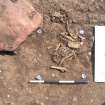 Archaeological excavation, Skeleton 401: ribcage from above, Auldhame, East Lothian