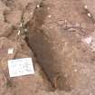 Archaeological excavation, Cuts to show contrasting bases of graves: 411 foreground: black, 395 back: red, Auldhame, East Lothian