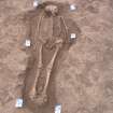 Archaeological excavation, Skeleton 461: general, no scale, no board, Auldhame, East Lothian