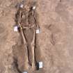 Archaeological excavation, Skeleton 483: general, no board/scale, Auldhame, East Lothian