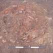 Archaeological excavation, Kiln/oven pre-excavation, Auldhame, East Lothian