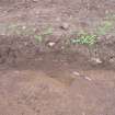 Archaeological excavation, S facing section through linear feature [535], Auldhame, East Lothian