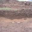 Archaeological excavation, S facing section through linear feature [537], Auldhame, East Lothian