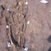 Archaeological excavation, Skeleton 548: general, no scale/board, Auldhame, East Lothian