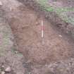 Archaeological excavation, [561]: curvilinear gully and postholes [566] and [568], Auldhame, East Lothian