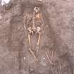 Archaeological excavation, Skeleton 465: general shot, Auldhame, East Lothian