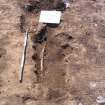 Archaeological excavation, [609]: grave cut, Auldhame, East Lothian