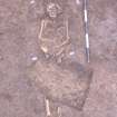 Archaeological excavation, Skeleton 617: Skeleton cut below pelvis by gully, no board, Auldhame, East Lothian