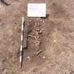 Archaeological excavation, Skeleton 681: general, Auldhame, East Lothian