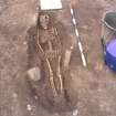 Archaeological excavation, Skeleton 663: general, Auldhame, East Lothian