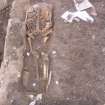 Archaeological excavation, Skeleton 720: whole of remains, Auldhame, East Lothian