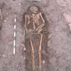 Archaeological excavation, Skeleton 742: general, Auldhame, East Lothian