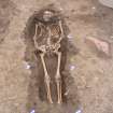 Archaeological excavation, Skeleton 801: general without board etc., Auldhame, East Lothian