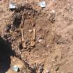Archaeological excavation, Skeleton 807: general without board etc., Auldhame, East Lothian