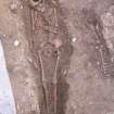Archaeological excavation, Skeleton 834: general without board etc., Auldhame, East Lothian