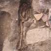 Archaeological excavation, Skeleton 843: general without board etc., Auldhame, East Lothian