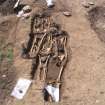 Archaeological excavation, Skeleton 923, 926, 929 without board etc., Auldhame, East Lothian