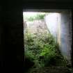 The overgrown steps and ramp leading down to the entrance of the Engine House from the SSW