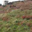 The bracken and grass-grown spoil derived from the excavation of the Engine House viewed from the E