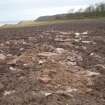 Field visit, Main area of damage, Auldhame, East Lothian